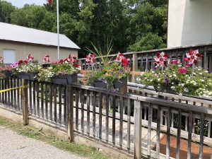 temporary image</p>
<p>